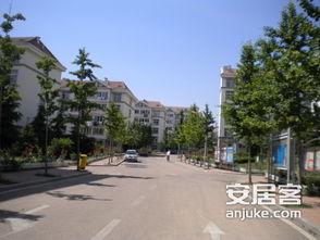 金水翠园吃瓜,夏日吃瓜盛宴，畅享清凉时光