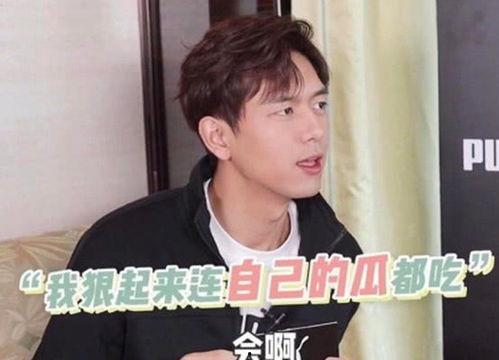 吃瓜李视频,揭秘娱乐圈幕后故事