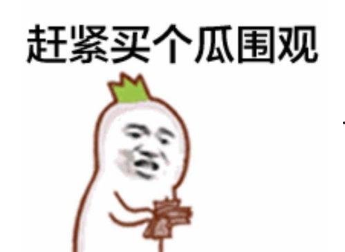 吃瓜群众女神视频大全,吃瓜群众眼中的视频大全