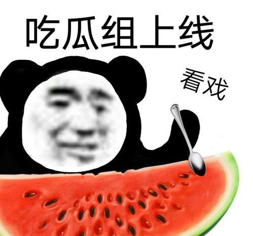 吃瓜理性,揭秘娱乐圈背后的真相