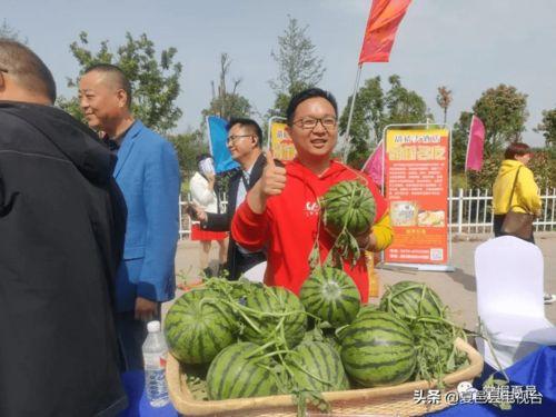 河南商丘夏邑吃瓜,探寻河南商丘夏邑的甜蜜瓜果文化