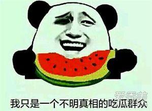 吃瓜就吃大瓜是啥意思啊,网络流行语的内涵与趣味