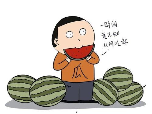 吃瓜说非常甜蜜,尽享夏日美味时光