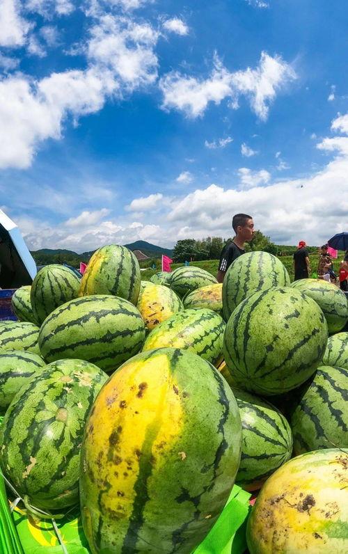济宁梁山吃瓜视频