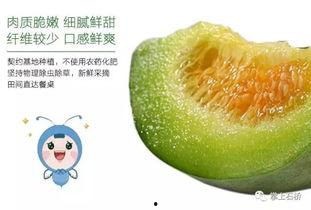 空腹吃小瓜,健康美味两不误