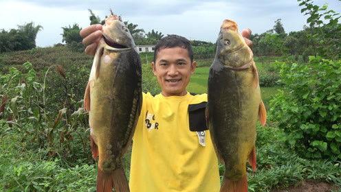 刘大瓜吃货,探寻美食世界的独特旅程