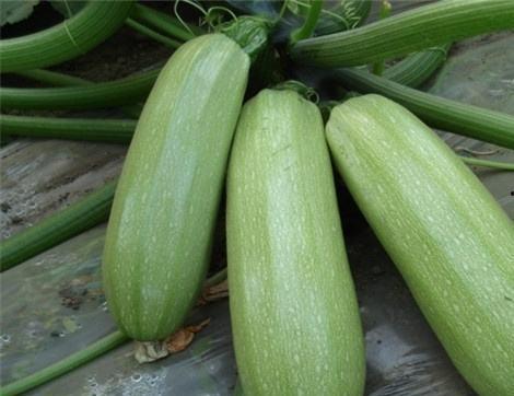 茄瓜变色可以吃吗