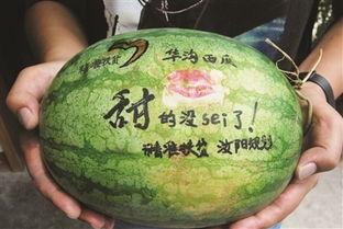 谷子店吃瓜,夏日炎炎，品味生活小确幸