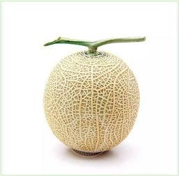 网纹瓜可以怎么吃,创意吃法大盘点