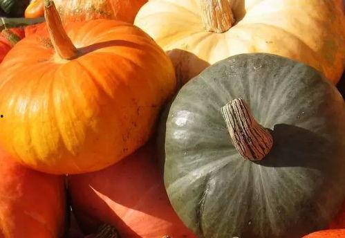 秋末吃瓜,品味丰收的甜蜜时光