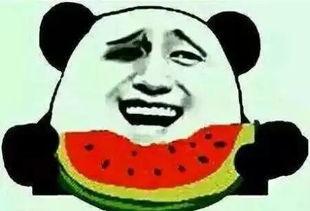 吃瓜集合是什么